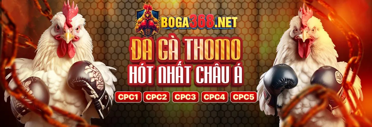 Hình ảnh tiêu đề blog mwc77 khuyến mãi