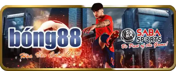 Cá cược công bằng MWC77